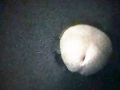 Sucking cocks that come out of the television