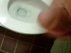 Toilet cum for Hazeleyes