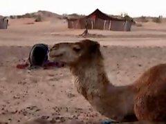 Arabian desert camps pt2