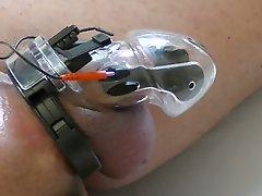 Electro estim: caged-cock-short