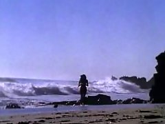 Blue Dahlia - full movie