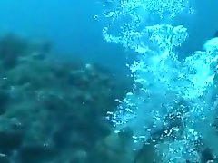 Amateurs receive taped having underwater scuba sex